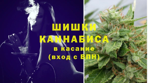 ECSTASY Козловка
