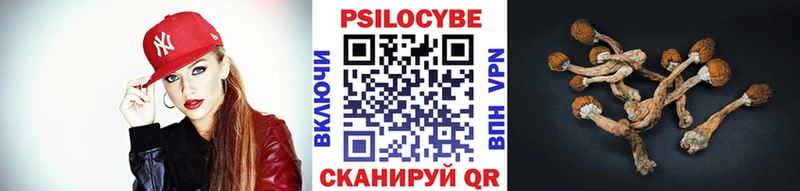 Галлюциногенные грибы GOLDEN TEACHER  Купить закладки  Аша 