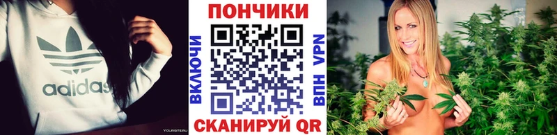 Каннабис ГИДРОПОН  Купить где  Аша 